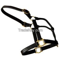 Horse Halter