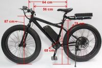 2014 New Fat Tire 48V 1000W Beach Ebike+LCD Display+48V 12Ah Battery