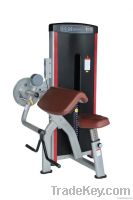 Seated Arm Curl