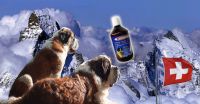 Ama-Dog 500ml 100% All Natural