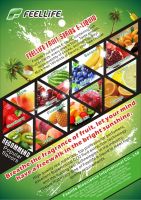 Feellife fruit series E-juice,hot selling, with Child-proof Bottles,to Refill E-cigarette
