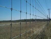 Field fence