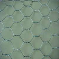 Hex Netting