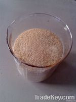 Sodium Alginate