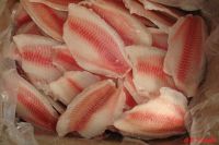 Fresh / Frozen Sardine Fish