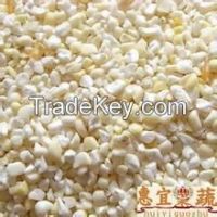 white corn of origin Brazil/Argentina for human food