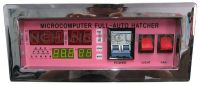 Chicken Egg Incubator For Sale