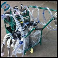 dairy farm cow goat piston milking machine