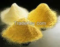 Hight quality Egg powder