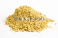 High quality Asafoetida