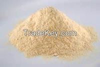 Top Quality Mango Powder