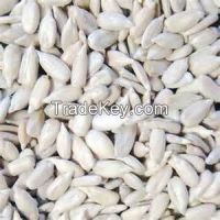 High quality  Sunflower kernels for  sale