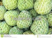 High  quality  Fresh Custard Apple 