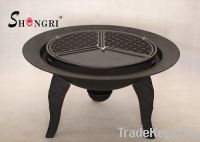 cast iron fire pit with pre-seasoned grill and mesh cover