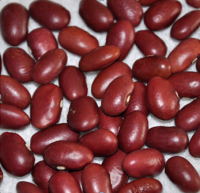 Red kidney beans