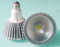 15W LED PAR38