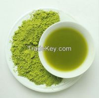 Matcha tea powder