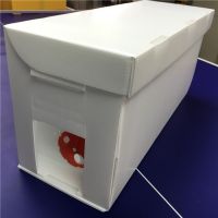 Correx Nucleus Plastic Nuc Box For