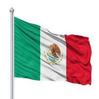 Custom Sizes 160gsm Spun Polyester Flag