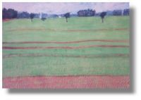 Gigena&acirc;€™s Rice Plantation In