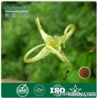 Epimedium Extract