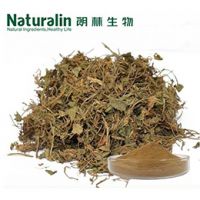 Olive Leaf Extract