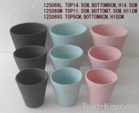 biodegradable planter