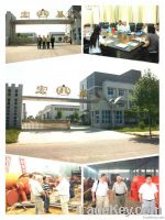 Energy Saving and High Capacity Cement Machinery Cement Rotary Kiln