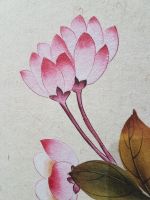 Plain-web Non Wovens for Wallpaper, Wall Cloth, Mural, Curtain
