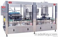 Washing, Filling and Cork capping Machine