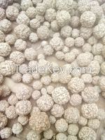 rudraksha