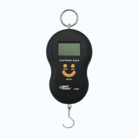 Electronic Digital Scale