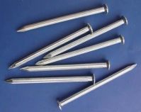 Concrete Nails (Cement Nails
