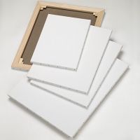 Blank Stretched Canvas For Oil Painting