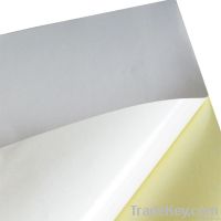 Glossy Self Adhesive Paper