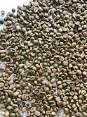 Robusta Coffee Bean