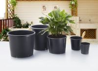 Cheap Black Gallon Pots , 1 2