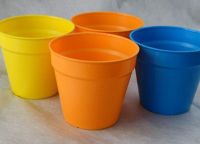 Eco Friendly Plant Pots, Biodegradable Nursery