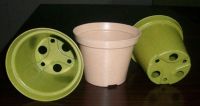 Biodegradable Flower Pots, Eco Friendly Plant