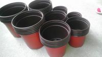 Cheap Nursery Pots, Double Color Plastic