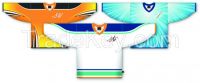 Sublimated Ice Hockey Jersey