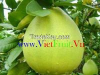 Honey pomelo, green pomelo