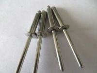 china stainless steel blind rivet