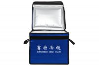 The Collapsible Insulated Collapsible Cooler Bag