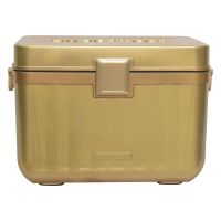 Fashion 26L Plastic Insulated Box For