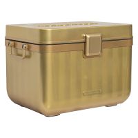 Fashionable Design Insulated Box For Storage
