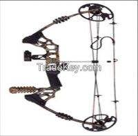 Compound Bow