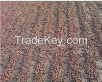 Betel Nuts (Areca Catechu), Split 80-85% Good Cut