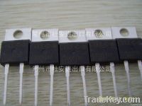 Silicon Carbide Schottky Diode