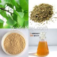 Natural Water Solute Ginkgo Biloba Extract